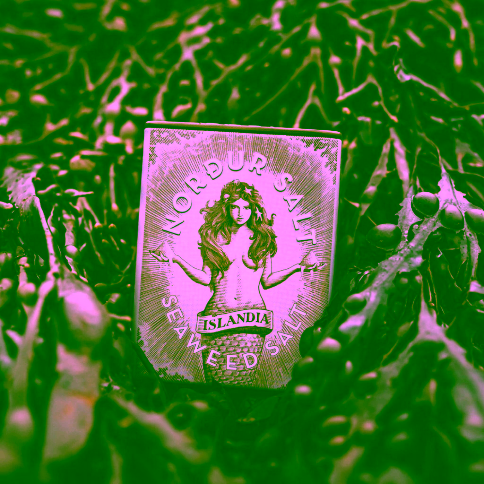 Nordur Salt Arktická sůl vločková s mořskou řasou v plechovce 100 g