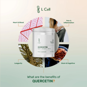 L-Cell-Quercetin (3)