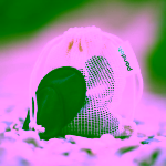 Pandoo Pratelné odličovací tamponky z bio bavlny 10 ks černé