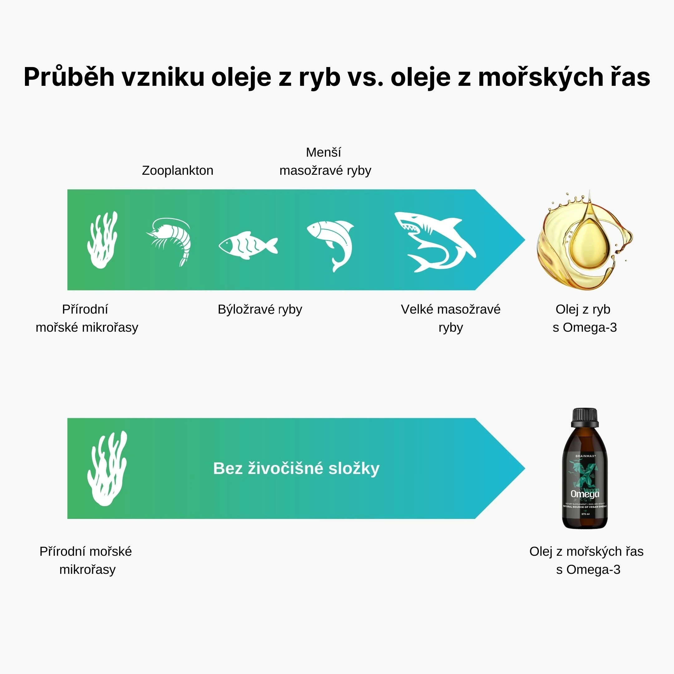 Brain Max Vegan Omega 3 –Průběh vzniku oleje z ryb vs. oleje z mořských řas