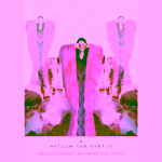 Karty světla Rebecca Campbell