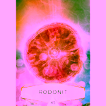 Léčivá síla krystalů Colette Baron-Reid