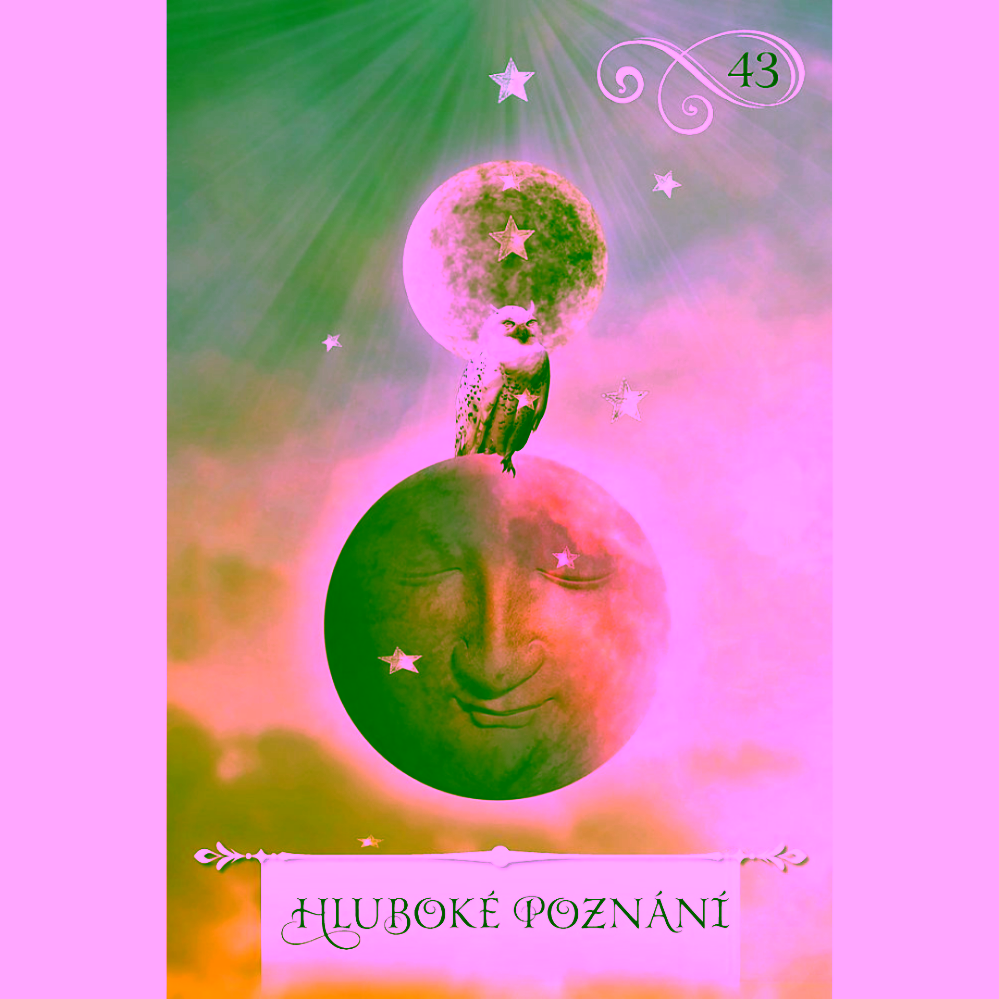 Orákulum moudrosti Colette Baron-Reid