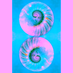 Orákulum moudrosti Colette Baron-Reid