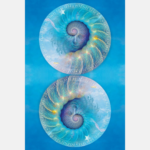 Orákulum moudrosti Colette Baron-Reid