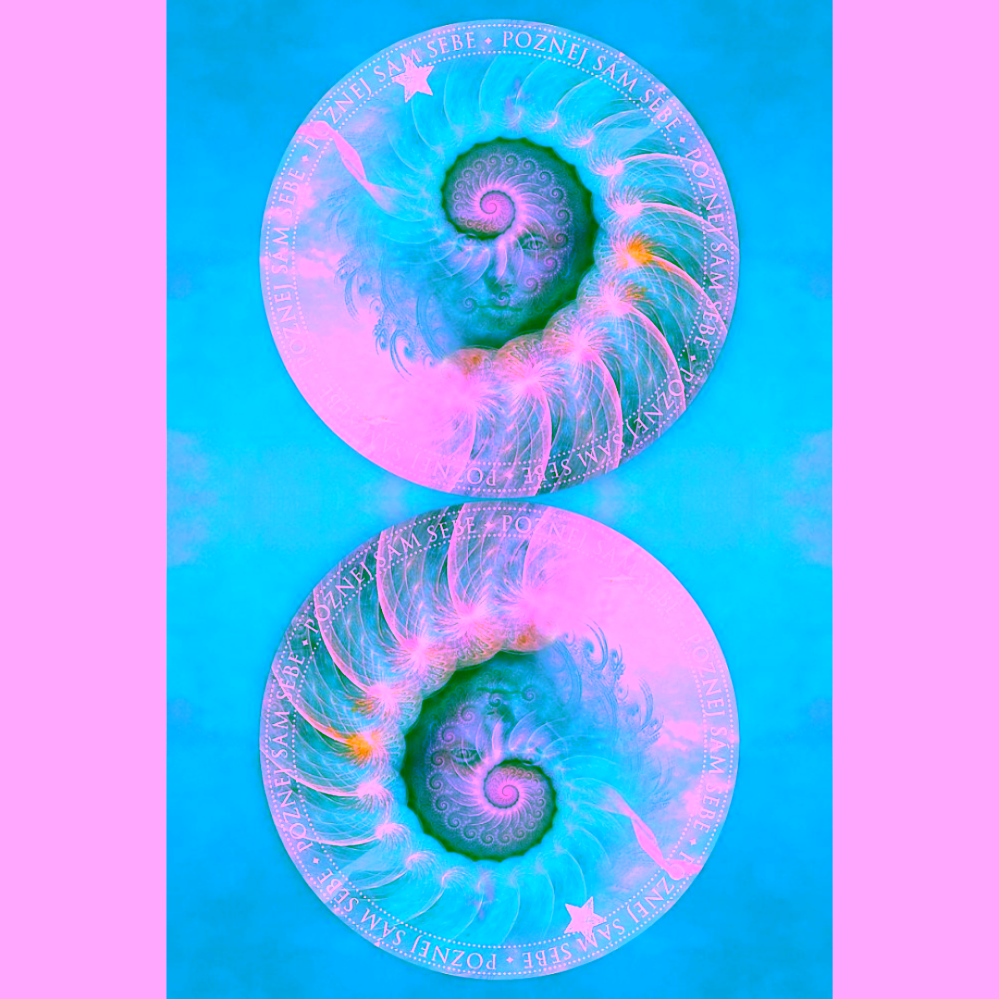 Orákulum moudrosti Colette Baron-Reid