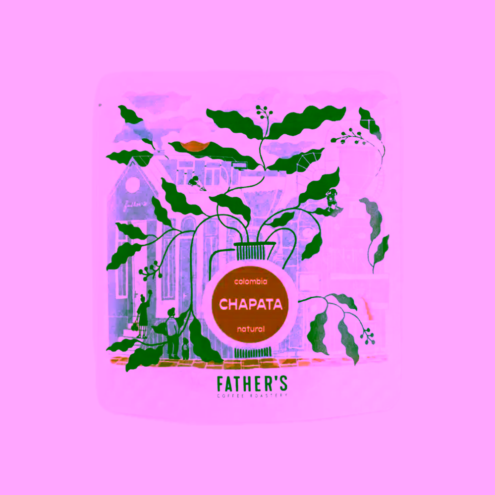 Father's Coffee Kolumbie Chapata na filtr