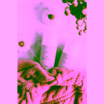 Protože JSI Hydratační krém na ruce