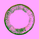 Bloomingville Imogen kameninový talíř multi