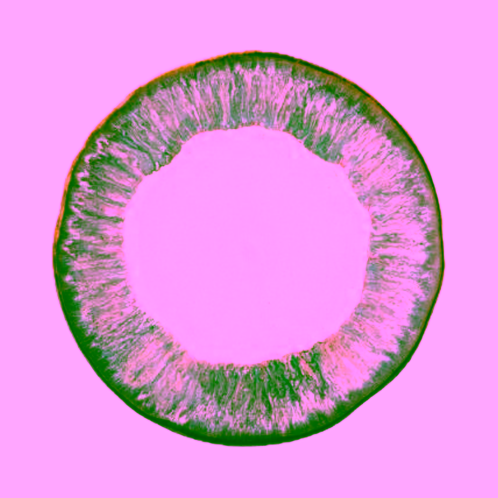 Bloomingville Imogen kameninový talíř multi