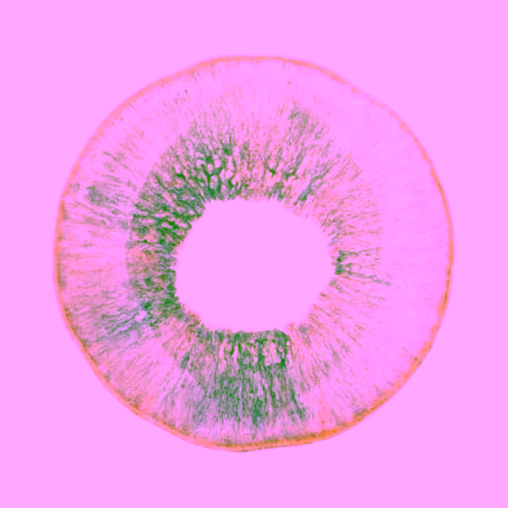 Bloomingville Imogen kameninový talíř zelený