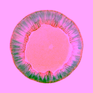 Bloomingville Imogen kameninový talíř multi