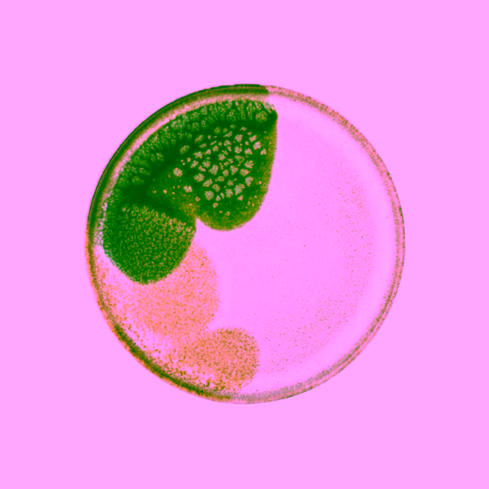 Bloomingville Jules kameninový talíř zelený