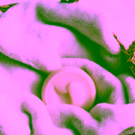 Protože JSI Pečující mýdlo pro suchou a citlivou pokožku celého těla