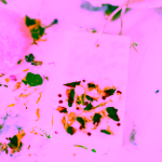 Yoga Day Vonný vosk Láska