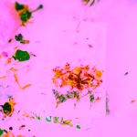 Yoga Day Vonný vosk Štěstí