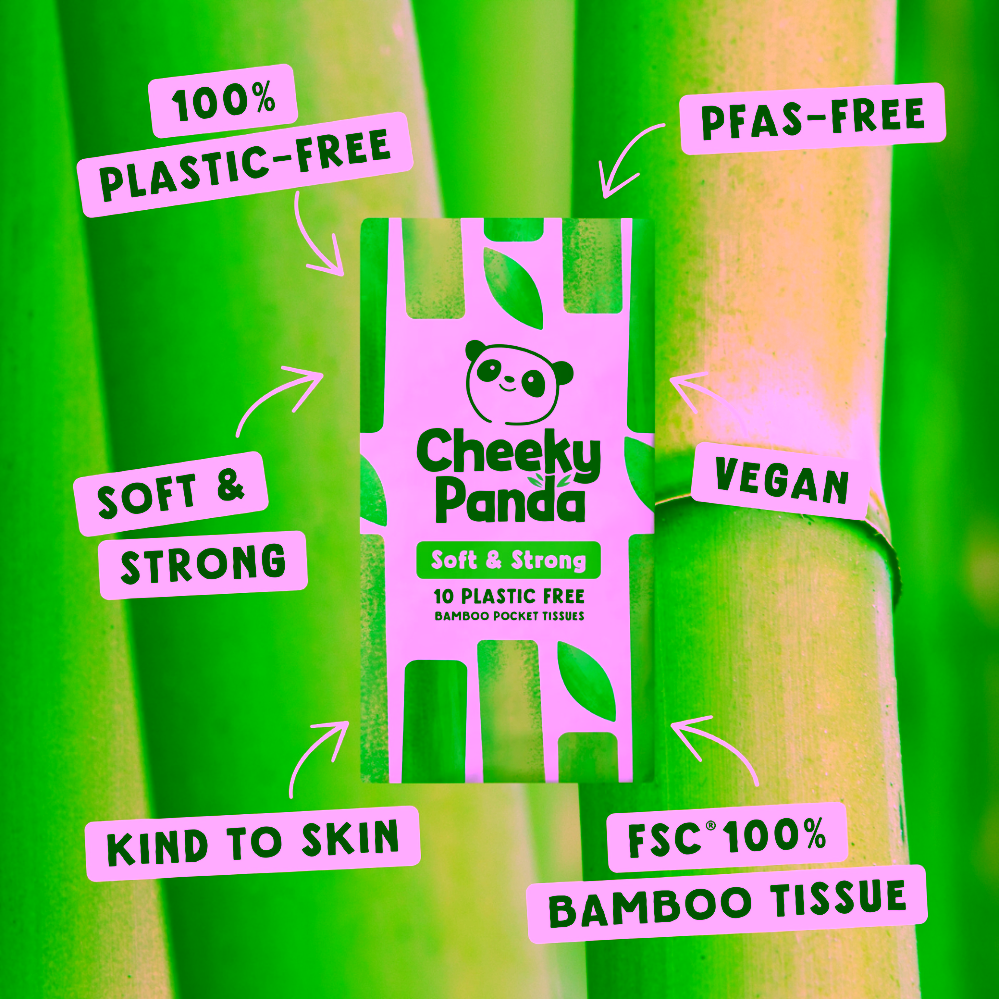 The Cheeky Panda Jednorázové kapesní bambusové kapesníky bílé 3 vrstvé balení 8 ks