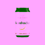 Wild & Coco Kombucha Citronová tráva