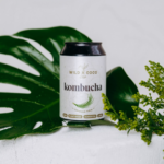 Wild & Coco Kombucha Citronová tráva