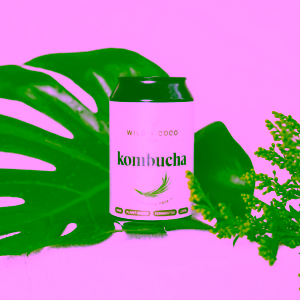 wild-&-coco-kombucha-citronova-trava (2)