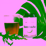 Wild & Coco Kombucha Citronová tráva