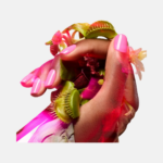 Manucurist Green lak Bloom