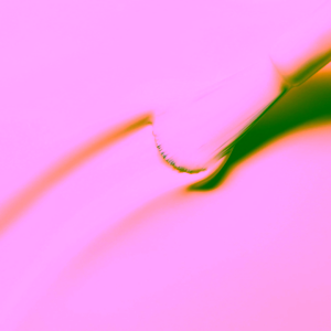 manucurist-Green-lak-mimosa (2)