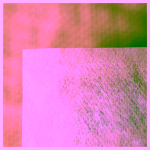 if-you-care-cajove-filtry-velke (3)