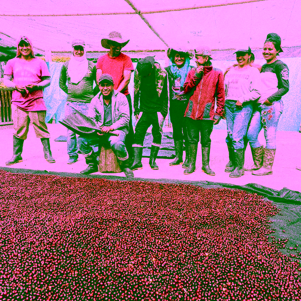 Father's Coffee Inzá Kolumbie na espresso