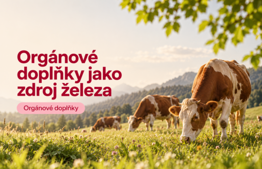 orgánové_hlavní