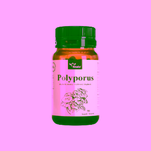Dárek - Serafin Polyporus